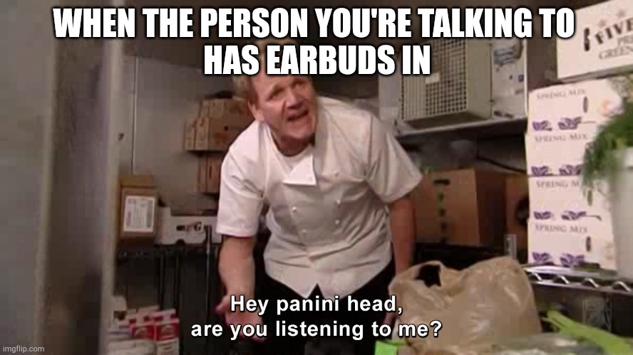 Hey Panini Head, Are You Listening To Me? | WHEN THE PERSON YOU'RE TALKING TO 
HAS EARBUDS IN | image tagged in hey panini head are you listening to me | made w/ Imgflip meme maker