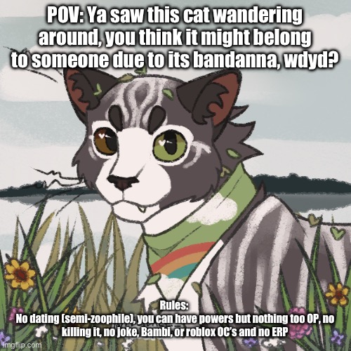 rp- | POV: Ya saw this cat wandering around, you think it might belong to someone due to its bandanna, wdyd? Rules: 
No dating (semi-zoophile), you can have powers but nothing too OP, no killing it, no joke, Bambi, or roblox OC’s and no ERP | image tagged in aaaaaaaaaaa | made w/ Imgflip meme maker