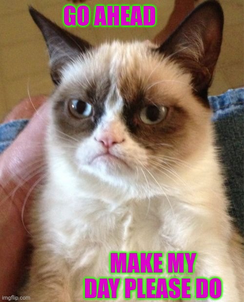 Grumpy Cat Meme | GO AHEAD; MAKE MY DAY PLEASE DO | image tagged in memes,grumpy cat | made w/ Imgflip meme maker