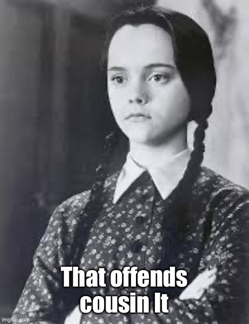 Wednesday Addams | That offends cousin It | image tagged in wednesday addams | made w/ Imgflip meme maker