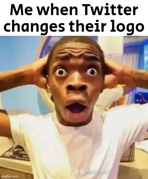 Shocked black guy | Me when Twitter changes their logo | image tagged in shocked black guy | made w/ Imgflip meme maker