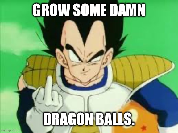 MF Vegeta | GROW SOME DAMN DRAGON BALLS. | image tagged in mf vegeta | made w/ Imgflip meme maker