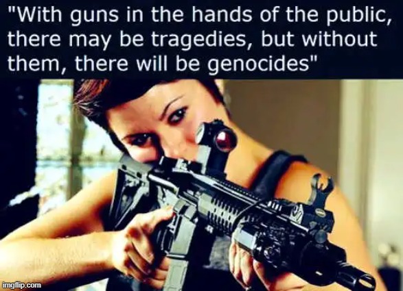 Guns are vital for we the people. | image tagged in genocide,guns,tragedy,public,second amendment | made w/ Imgflip meme maker