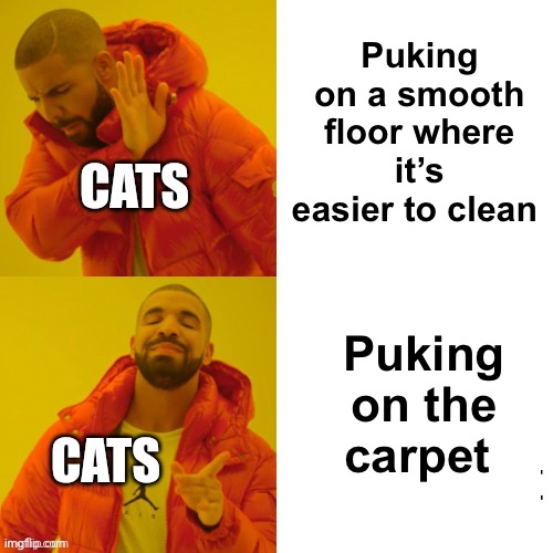 Puking on a smooth floor where it’s easier to clean Puking on the carpet | made w/ Imgflip meme maker