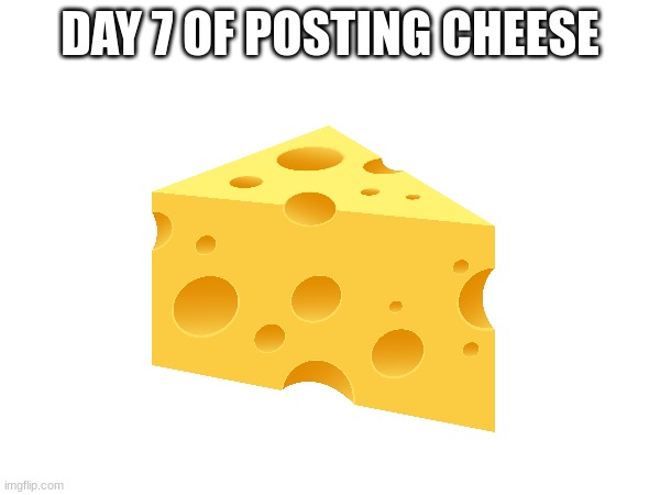 Day 7 of posting cheese! | DAY 7 OF POSTING CHEESE | image tagged in day 7 | made w/ Imgflip meme maker