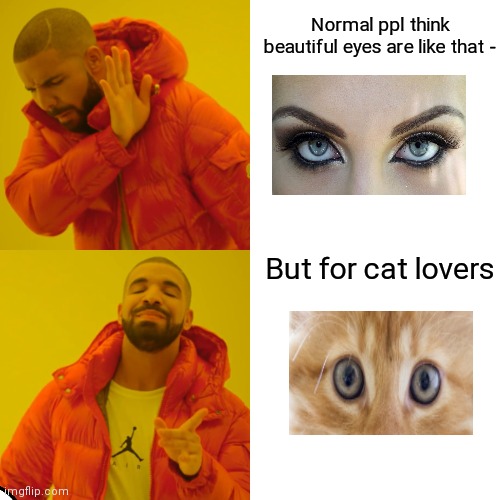 Drake Hotline Bling | Normal ppl think beautiful eyes are like that -; But for cat lovers | image tagged in memes,drake hotline bling | made w/ Imgflip meme maker