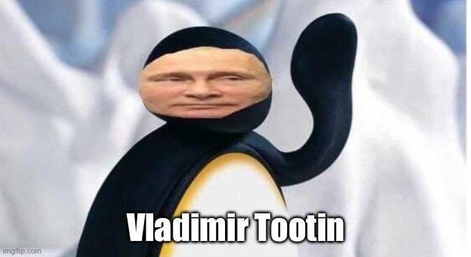 Vladimir | Vladimir Tootin | image tagged in vladimir putin,penguin | made w/ Imgflip meme maker