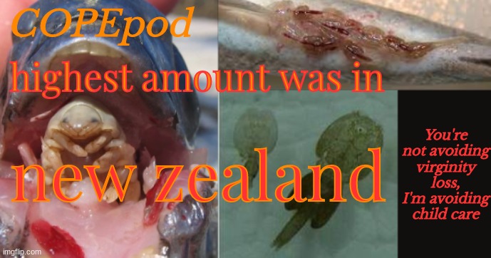 COPEpod's announcement template | highest amount was in; new zealand | image tagged in copepod's announcement template | made w/ Imgflip meme maker