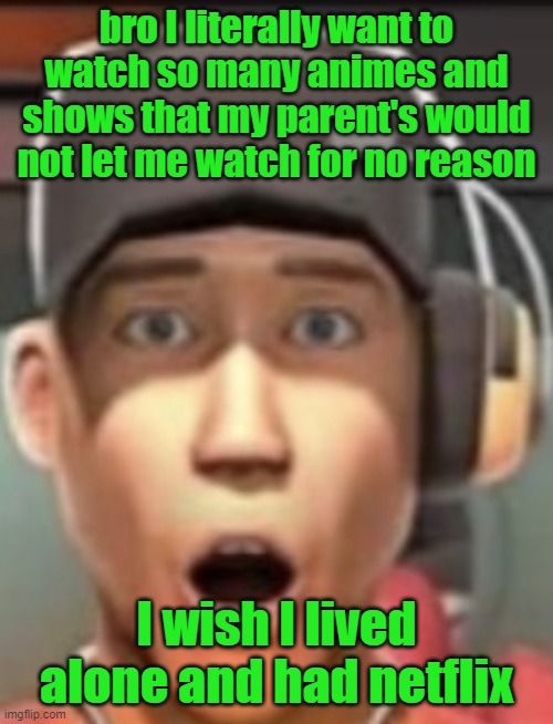 shokk | bro I literally want to watch so many animes and shows that my parent's would not let me watch for no reason; I wish I lived alone and had netflix | image tagged in shokk | made w/ Imgflip meme maker