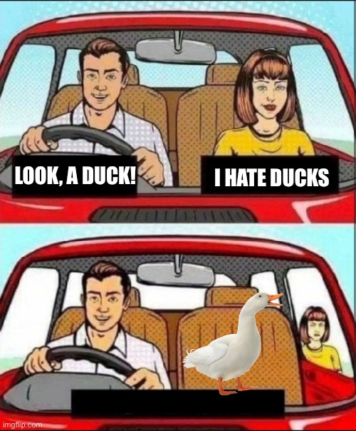 Good choice | LOOK, A DUCK! I HATE DUCKS | image tagged in cartoon couple driving in car,duck,hater | made w/ Imgflip meme maker