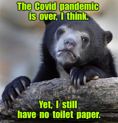 Poor bear | The  Covid  pandemic  is  over,  I  think. Yet,  I  still  have  no  toilet  paper. | image tagged in memes,confession bear,pandemic is over,still no toilet paper | made w/ Imgflip meme maker