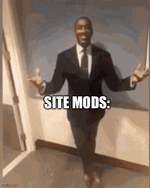 smiling black guy in suit | SITE MODS: | image tagged in smiling black guy in suit | made w/ Imgflip meme maker