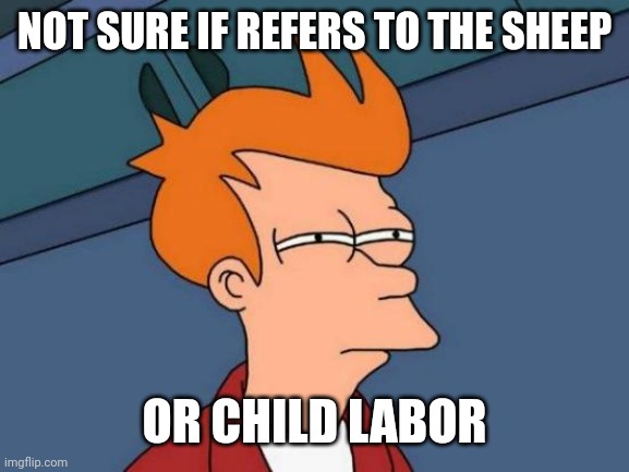 Futurama Fry Meme | NOT SURE IF REFERS TO THE SHEEP OR CHILD LABOR | image tagged in memes,futurama fry | made w/ Imgflip meme maker