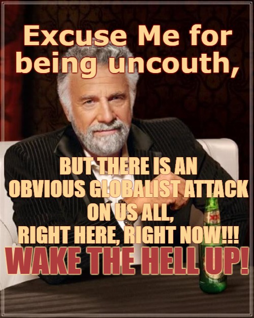 Excuse Me, we are under attack | BUT THERE IS AN 
OBVIOUS GLOBALIST ATTACK 
ON US ALL,
RIGHT HERE, RIGHT NOW!!! Excuse Me for 
being uncouth, WAKE THE HELL UP! | image tagged in memes,globalist,nwo,we under attack,politics | made w/ Imgflip meme maker