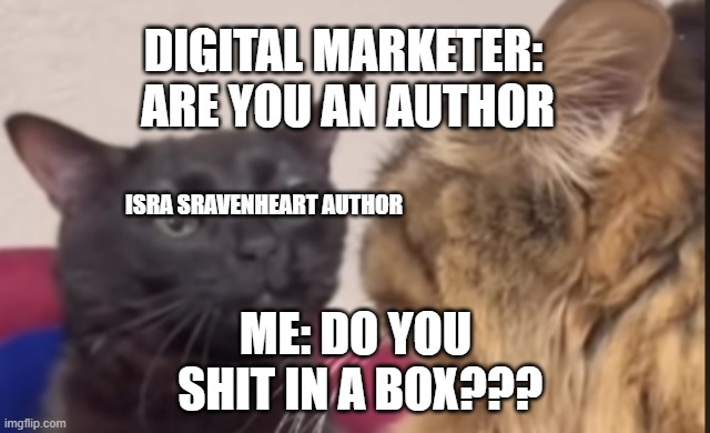 digital marketer are you an author meme | DIGITAL MARKETER: 
ARE YOU AN AUTHOR; ISRA SRAVENHEART AUTHOR; ME: DO YOU
 SHIT IN A BOX??? | image tagged in black cat zoning out,black cat,author,authors | made w/ Imgflip meme maker