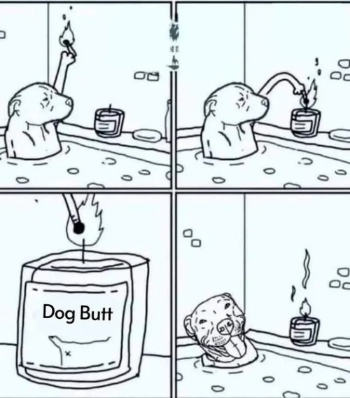 scented candles for dogs | image tagged in scented candles for dogs,dog butt | made w/ Imgflip meme maker