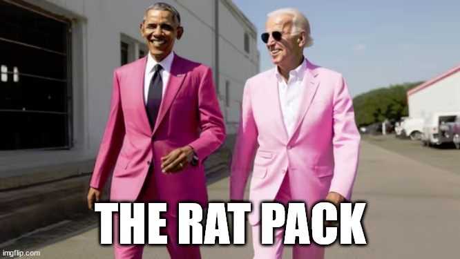 THE RAT PACK | image tagged in fool me once | made w/ Imgflip meme maker