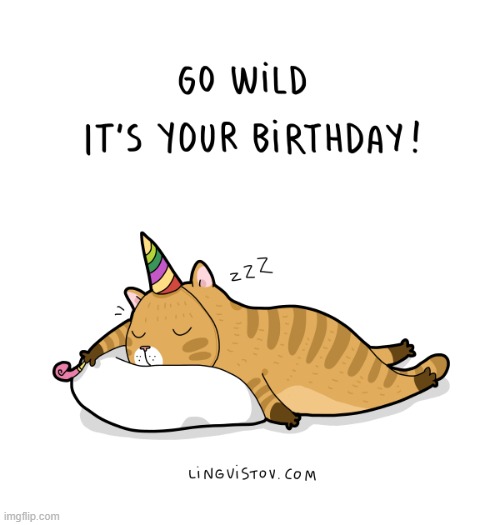 A Cat's Way Of Thinking | image tagged in memes,comics/cartoons,cats,birthday,go,wild | made w/ Imgflip meme maker