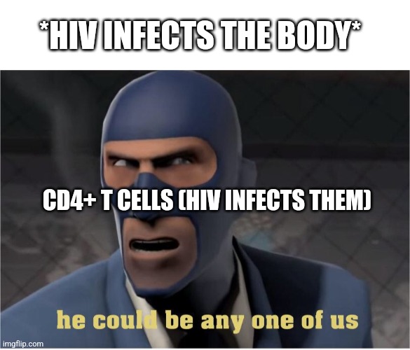 Sneak&Deception 100 | *HIV INFECTS THE BODY*; CD4+ T CELLS (HIV INFECTS THEM) | image tagged in he could be anyone of us | made w/ Imgflip meme maker