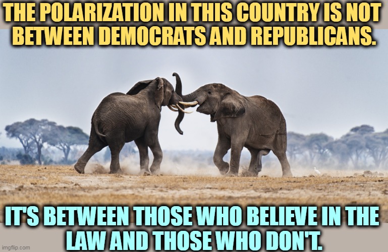 Two elephants fighting - disarray in the Republican Party, GOP | THE POLARIZATION IN THIS COUNTRY IS NOT 
BETWEEN DEMOCRATS AND REPUBLICANS. IT'S BETWEEN THOSE WHO BELIEVE IN THE 
LAW AND THOSE WHO DON'T. | image tagged in two elephants fighting - disarray in the republican party gop,democrats,republicans,rule of law,law,lawless | made w/ Imgflip meme maker