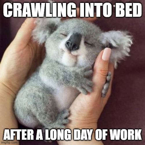 CRAWLING INTO BED; AFTER A LONG DAY OF WORK | made w/ Imgflip meme maker