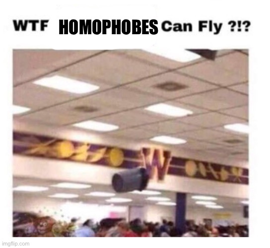 WTF --------- Can Fly ?!? | HOMOPHOBES | image tagged in wtf --------- can fly | made w/ Imgflip meme maker