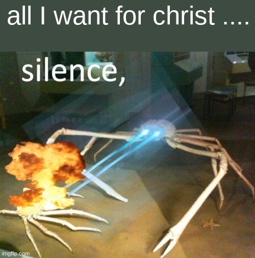 why tho its july for christ sakes. | all I want for christ .... | image tagged in silence crab,mariah carey,silence,iceu,who am i,annoying | made w/ Imgflip meme maker