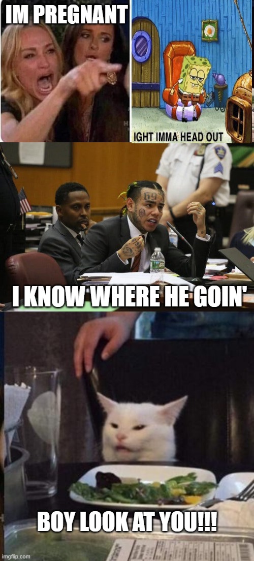 multiverse of memes | IM PREGNANT; I KNOW WHERE HE GOIN'; BOY LOOK AT YOU!!! | image tagged in confused cat at dinner,tekashi snitching,memes,confused cat | made w/ Imgflip meme maker