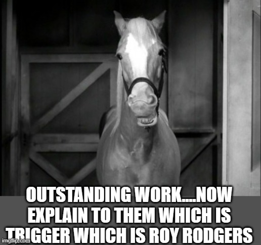 Mr. Ed | OUTSTANDING WORK....NOW EXPLAIN TO THEM WHICH IS TRIGGER WHICH IS ROY RODGERS | image tagged in mr ed | made w/ Imgflip meme maker
