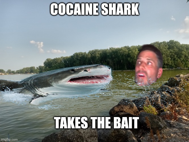 Hunter biden | COCAINE SHARK; TAKES THE BAIT | image tagged in hunter biden | made w/ Imgflip meme maker