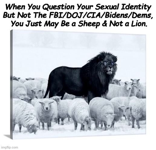 Common Sense Wake Up Call | When You Question Your Sexual Identity 
But Not The FBI/DOJ/CIA/Bidens/Dems, 
You Just May Be a Sheep & Not a Lion. | image tagged in politics,words of wisdom,liberals vs conservatives,facts,you can't handle the truth,political humor | made w/ Imgflip meme maker