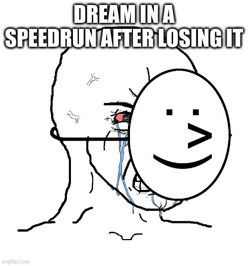 Dream in a speedrun | DREAM IN A SPEEDRUN AFTER LOSING IT | image tagged in memes | made w/ Imgflip meme maker