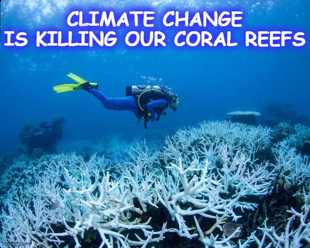 Water temperatures at the tip of Florida reach Hot Tub levels! | CLIMATE CHANGE
IS KILLING OUR CORAL REEFS | image tagged in coral,bleaching,climate change,florida | made w/ Imgflip meme maker