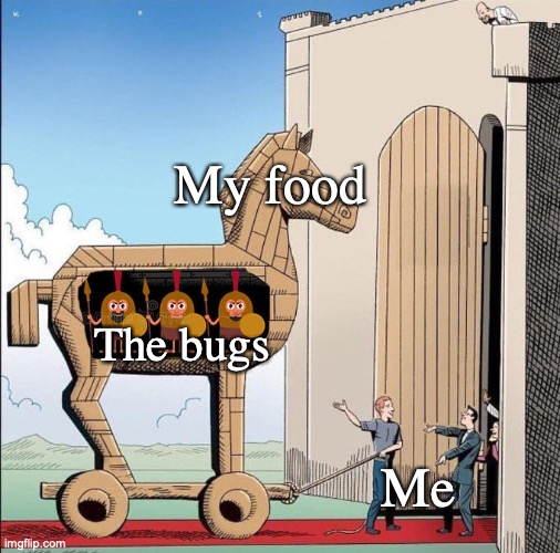 Get out my food! | My food; The bugs; Me | image tagged in trojan horse | made w/ Imgflip meme maker
