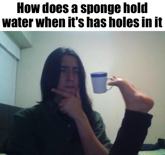 Hmmmmm | How does a sponge hold water when it's has holes in it | image tagged in hmmmm | made w/ Imgflip meme maker