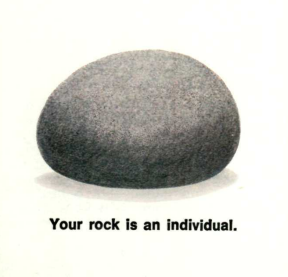 your rock is an induvidul. Blank Meme Template