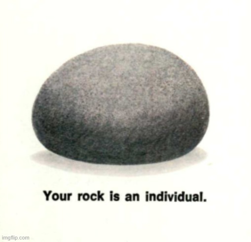 your rock is an induvidul. | image tagged in your rock is an induvidul | made w/ Imgflip meme maker