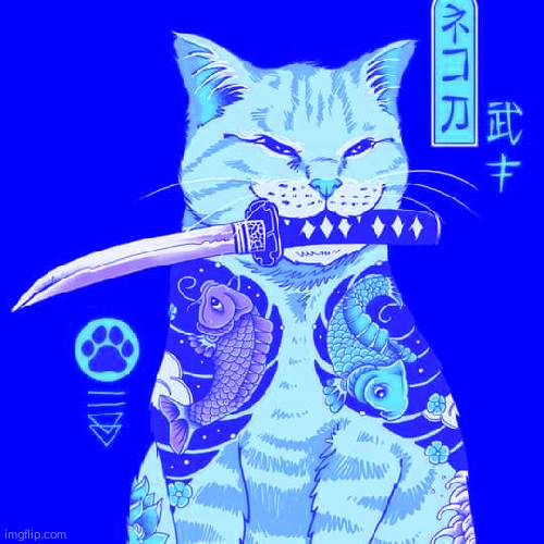 Yakuza kitty | image tagged in yakuza kitty | made w/ Imgflip meme maker