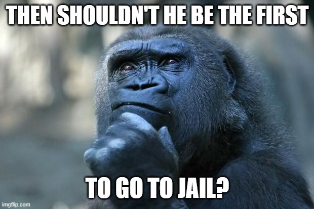 Deep Thoughts | THEN SHOULDN'T HE BE THE FIRST TO GO TO JAIL? | image tagged in deep thoughts | made w/ Imgflip meme maker