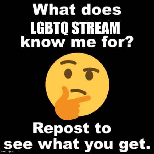 What does MS_Memer_Group know me for? | LGBTQ STREAM | image tagged in yes | made w/ Imgflip meme maker