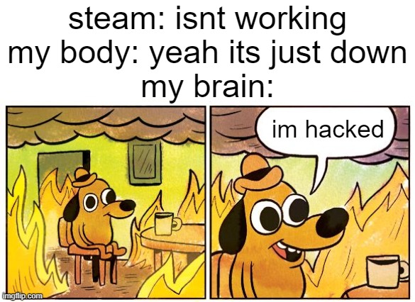 steam moment | steam: isnt working
my body: yeah its just down
my brain:; im hacked | image tagged in memes,this is fine | made w/ Imgflip meme maker
