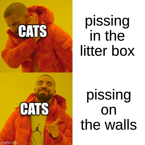 my cat used to do this | pissing in the litter box; CATS; pissing on the walls; CATS | image tagged in memes,drake hotline bling,cats,funny,true story,relatable | made w/ Imgflip meme maker