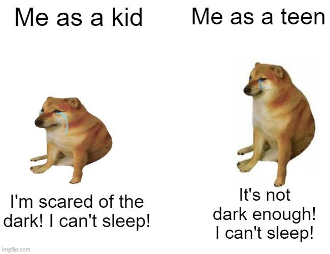 doggo | Me as a kid; Me as a teen; It's not dark enough! I can't sleep! I'm scared of the dark! I can't sleep! | image tagged in memes,buff doge vs cheems,sleep,scared,kid,relatable | made w/ Imgflip meme maker