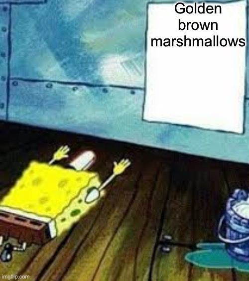 spongebob worship | Golden brown marshmallows | image tagged in spongebob worship | made w/ Imgflip meme maker
