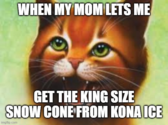 Warrior cats Firestar | WHEN MY MOM LETS ME; GET THE KING SIZE SNOW CONE FROM KONA ICE | image tagged in cats,omg cat | made w/ Imgflip meme maker