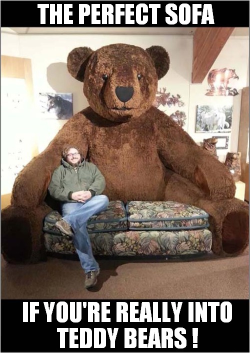He's Definitely An Arctophile ! | THE PERFECT SOFA; IF YOU'RE REALLY INTO
TEDDY BEARS ! | image tagged in teddy bear,sofa,arctophile | made w/ Imgflip meme maker