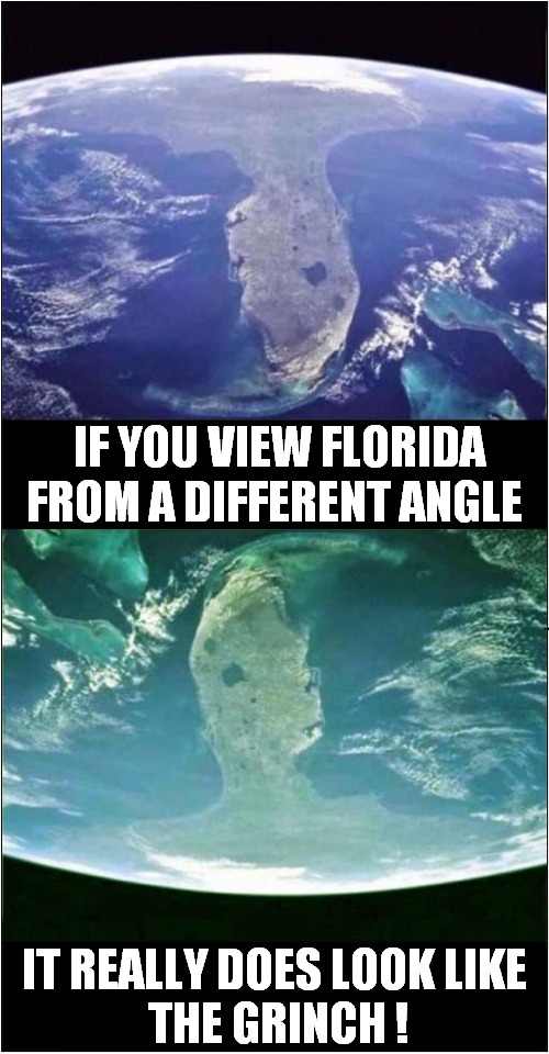 Florida | IF YOU VIEW FLORIDA FROM A DIFFERENT ANGLE; IT REALLY DOES LOOK LIKE
 THE GRINCH ! | image tagged in fun,florida,the grinch | made w/ Imgflip meme maker