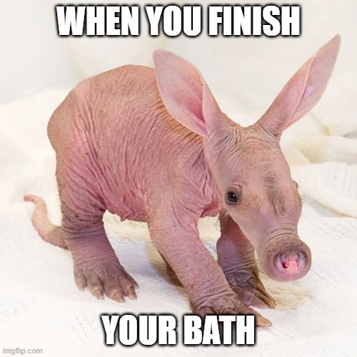 WHEN YOU FINISH; YOUR BATH | made w/ Imgflip meme maker