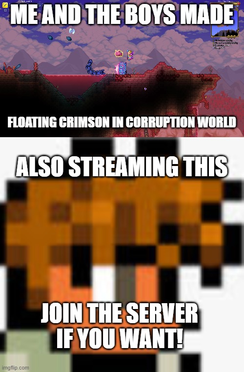 PLs join | ME AND THE BOYS MADE; FLOATING CRIMSON IN CORRUPTION WORLD; ALSO STREAMING THIS; JOIN THE SERVER IF YOU WANT! | image tagged in guide terraria head | made w/ Imgflip meme maker