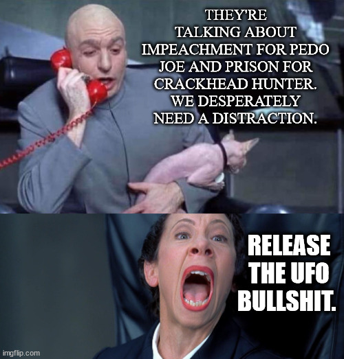 Distractions for US | THEY'RE TALKING ABOUT IMPEACHMENT FOR PEDO JOE AND PRISON FOR CRACKHEAD HUNTER. WE DESPERATELY NEED A DISTRACTION. RELEASE THE UFO BULLSHIT. | image tagged in dr evil and frau,pedo joe | made w/ Imgflip meme maker